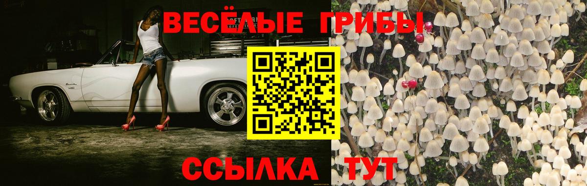 даркнет сайт  Галлюциногенные грибы MAGIC MUSHROOMS  Вход с VPN  Майский 