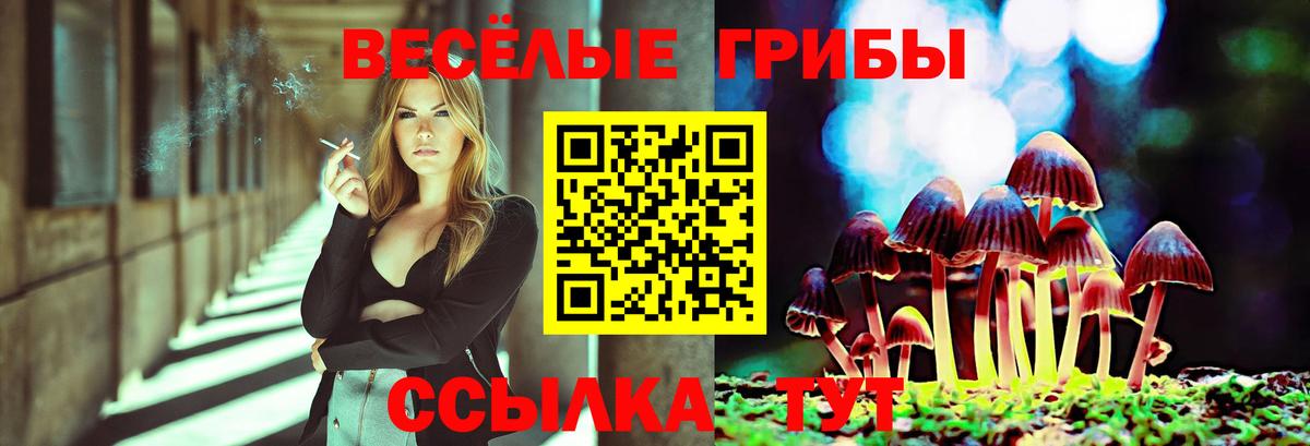Галлюциногенные грибы Magic Shrooms Майский